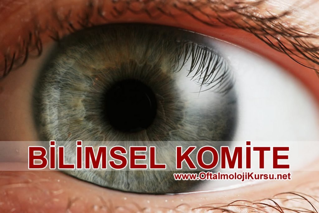 bilimsel komite